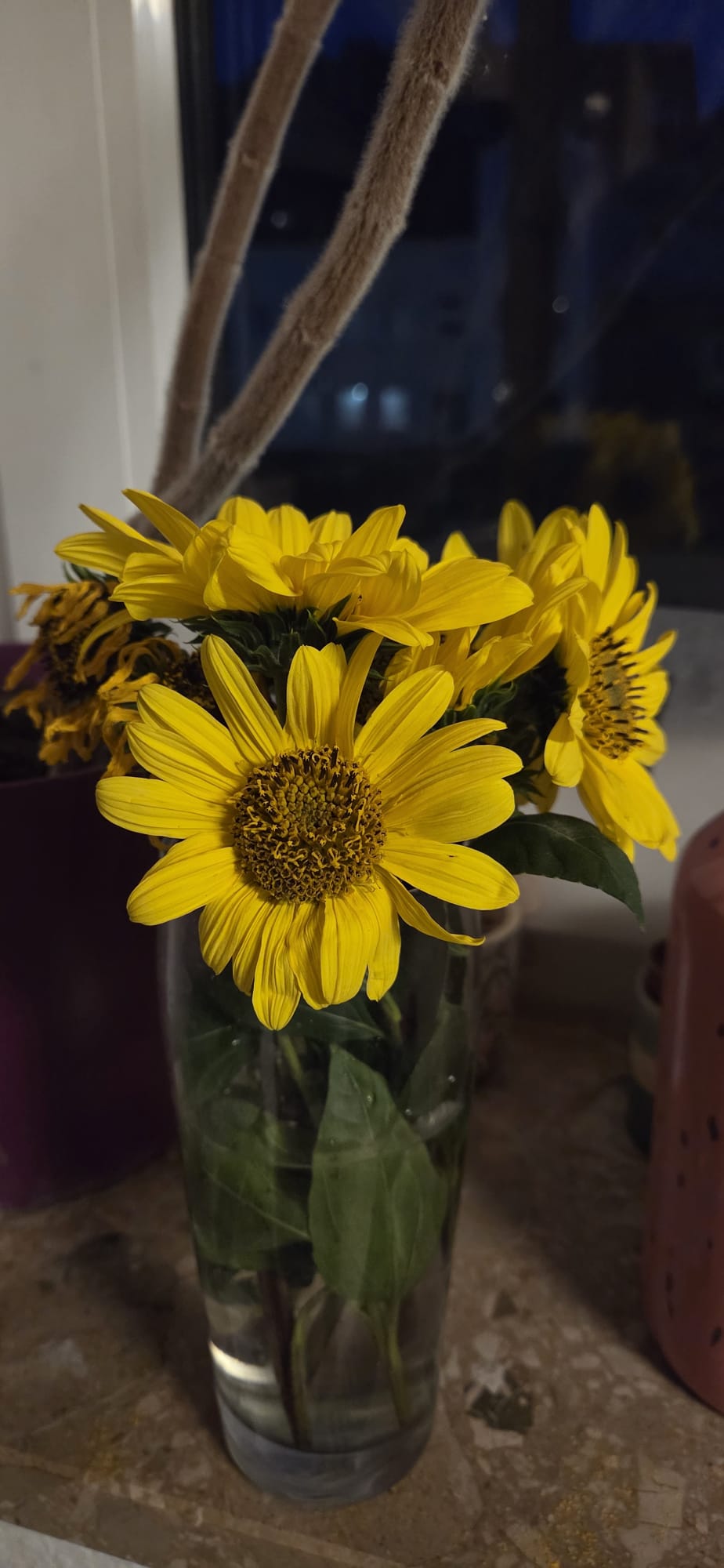 Sonnenblumen auf der Fensterbank